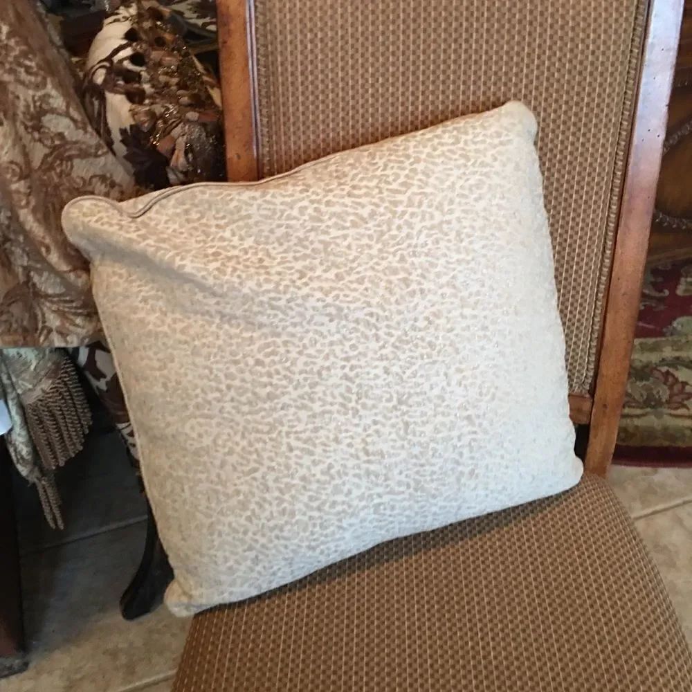 TAUPE SOFA Wildcat Print Pillow!